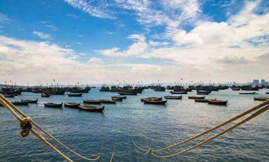 山東海洋漁業(yè) 山東海洋漁業(yè)