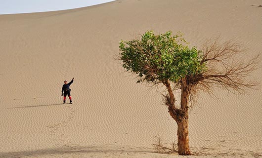 環(huán)保視頻會議 環(huán)境保護視頻會議
